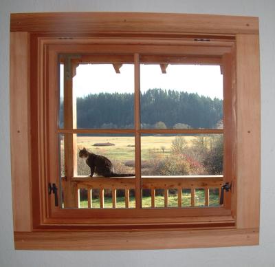 Interior Window Trim